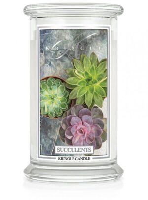 Aromat Świec - Kringle Candle Duża Świeca Zapachowa Succulents